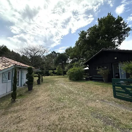 Bois Sauvage Паранти-ан-Борн